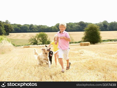 Boy With Dogs Running Through Summer Harvested Field