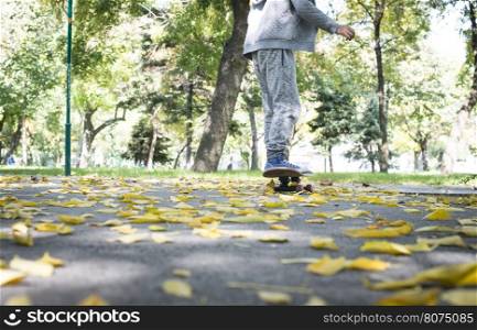 Boy with skateboard in the park. Autumn leaves