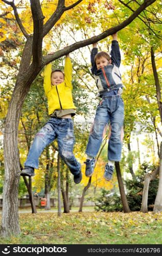 boys hanging from branch of tree