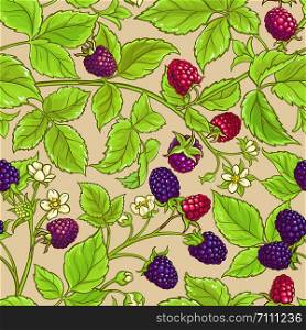 boysenberry vector pattern on color background. boysenberry vector pattern