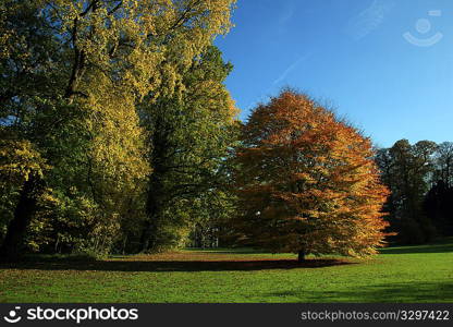 Brabant flamand, Meise, Belgium, Europe