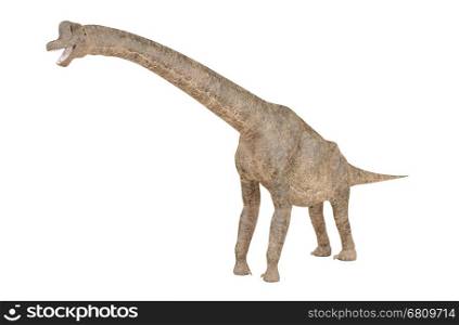 Brachiosaurus dinosaur isolated on white background, 3D rendering