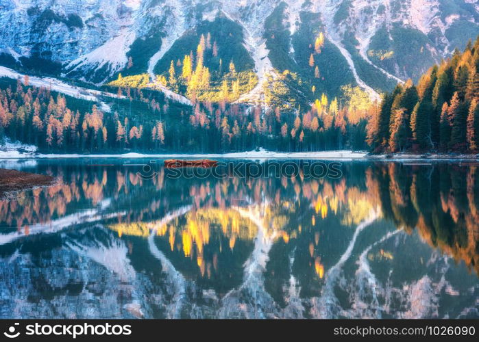 Braies lake with beautiful reflection in water at sunrise in autumn in Dolomites, Italy. Landscape with fall forest, mountains, lake, water, boats, trees with colorful foliage. Dolomiti. Italian alps. Braies lake with reflection in water at sunrise in autumn
