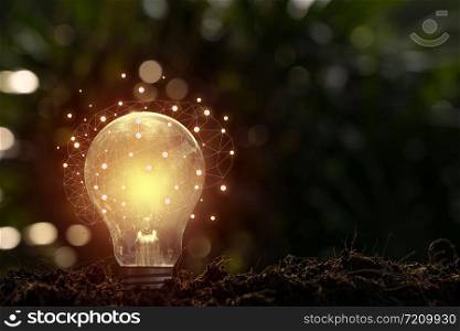 brain glowing of light bulb on soil and light bokeh background.Creative and inspiration.Innovative technology.Energy and environmental concepts.