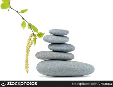 Branch of a birch and pebble. It is isolated on a white background