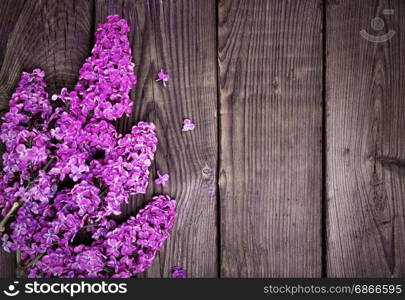Branch of a purple lilac on a brown wooden background, empty space on the right