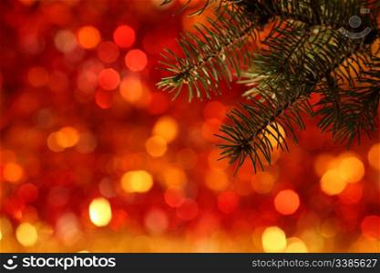 Branch of Christmas tree against red light background
