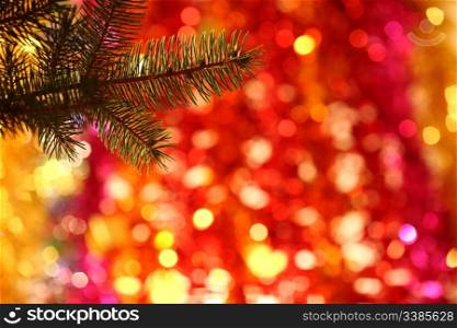 Branch of Christmas tree on colorful blurred background