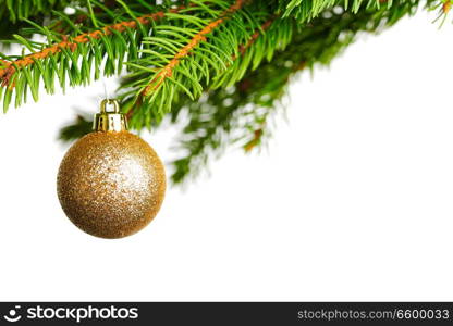 branch of Christmas tree with golden glass ball isolated on white background