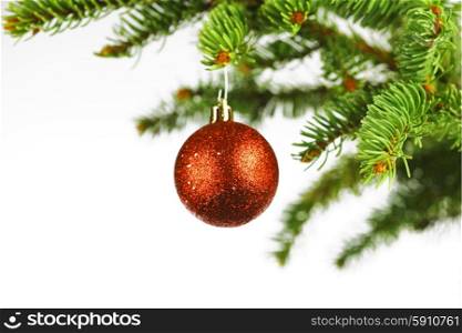 branch of Christmas tree with red glass ball isolated on white background