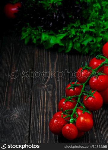 Branch of fresh cherry tomatoes. Fresh vegetables, green fresh salad, ripe tomato in drops of water on a dark wooden background. Biodiversity, useful vegetables on the table. Ingredients for dishes