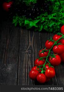 Branch of fresh cherry tomatoes. Fresh vegetables, green fresh salad, ripe tomato in drops of water on a dark wooden background. Biodiversity, useful vegetables on the table. Ingredients for dishes