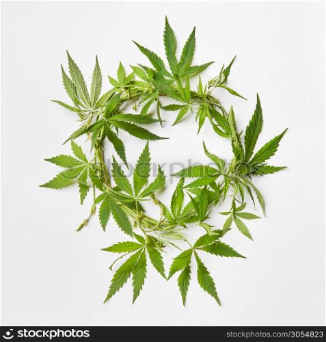 Branch of fresh natural green marijuana leaves in the shape of round wreath on a light grey background with copy space. Concept use of cannabis for medical puposes.. Wreath from green cannabis leaves.