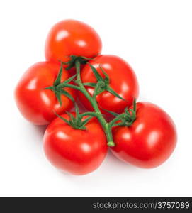 Branch of fresh tomatoes on white background