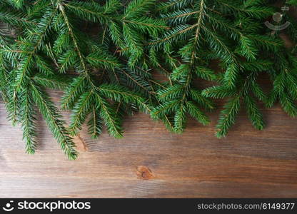 branch of green fir tree on wooden board background