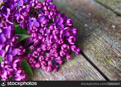 branch of lilac on wooden background&#xA;