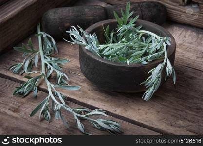 Branch of medicinal wormwood. wooden mortar with pestle with a wormwood branch