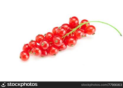 branch of red currant isolated on white