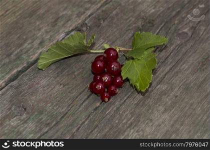 branch of red currant on a shabby table, a subject summer berries