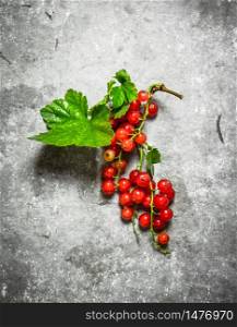 Branch of red currants. On a stone background.. Branch of red currants. On stone background.