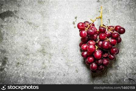 Branch of red grapes. On the stone table.. Branch of red grapes.