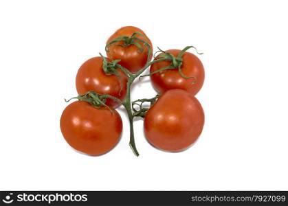 branch of red tomatoes