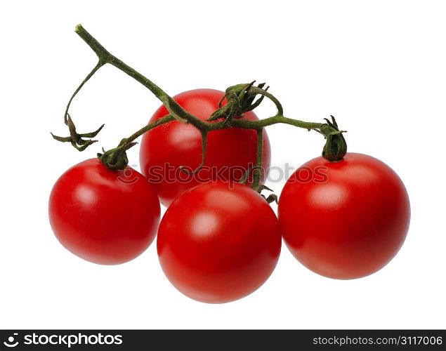 Branch of red tomatto, isolated on a white background
