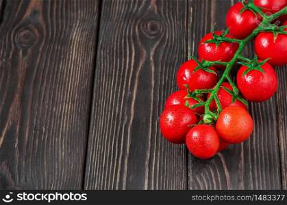 Branch of ripe, fresh cherry tomatoes on a dark wooden background. Tomatoes in droplets of water. Copy space for text, close up