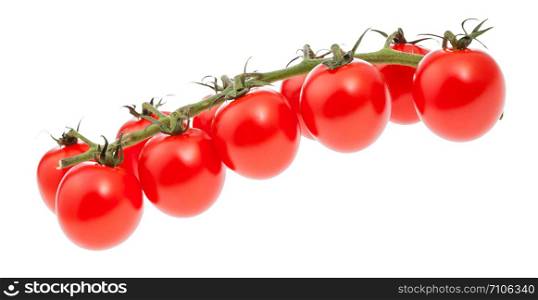branch of ripe red Cherry tomatoes isolated on white background