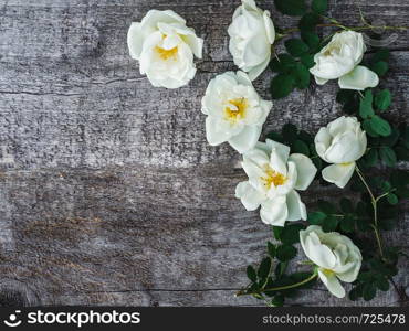 Branch of rose hip with blooming flowers, lying on unpainted, frayed boards. Place for your inscription. Top view, close-up, flat lay. Congratulations to loved ones, relatives, friends and colleagues. Beautiful rose hip branch with white flowers