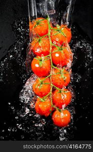 Branch of tomatoes in water splashes