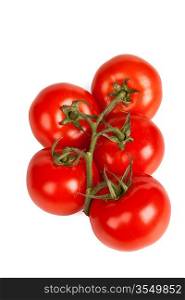 Branch of tomatoes isolated on white