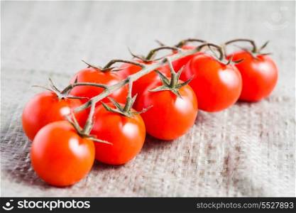 Branch of tomatoes on table