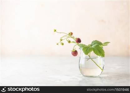 Branch of wild raw ripe strawberries with flowers and leaves in glass jar on light pink surface.