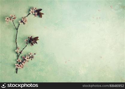 branch with cherry pink blooming flowers on aged wooden table
