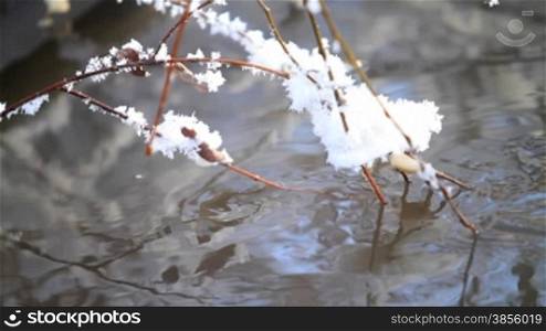 branch with hoarfrost concerns a surface of running stream.
