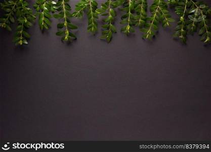 Branch with leaf at black paper background texture. Ecology concept or creative idea