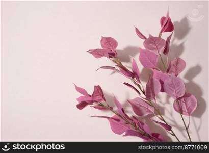 Branch with pink leaves on a beige background, abstract background