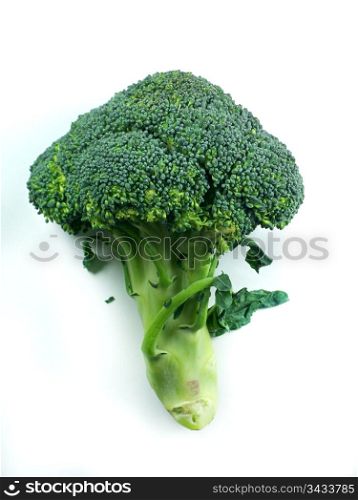 branches of cabbage of a broccoli on a white background