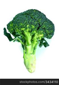 branches of cabbage of a broccoli on a white background. branches of cabbage of a broccoli