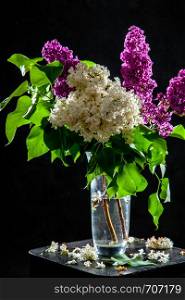 Branches of white and purple lilac in glass vase on black background. Spring branch of blooming lilac on the table with black background. Fallen lilac flowers on the table.