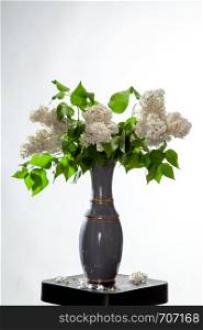 Branches of white lilac in vase on bwhite background. Spring branch of blooming lilac on the table with white background. Fallen lilac flowers on the table.