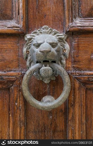 Brass lion head knocker on an old door