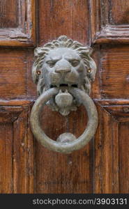 Brass lion head knocker on an old door