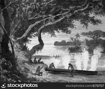 Brazilian Indians digging a tree by fire, vintage engraved illustration. From the Universe and Humanity, 1910.