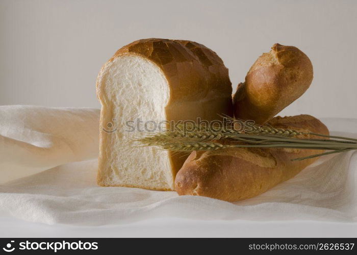 Bread