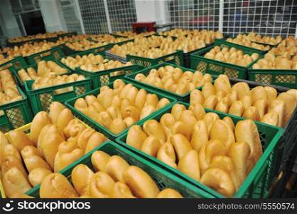 bread bakery food factory production with fresh products