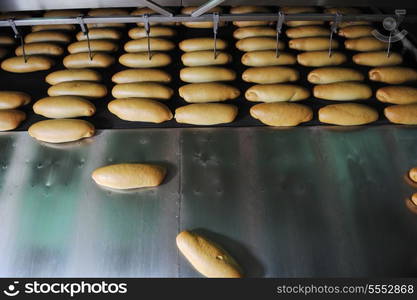 bread bakery food factory production with fresh products