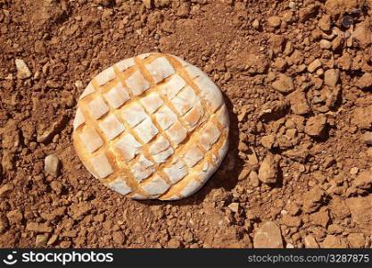 Bread bun round over red clay soil background texture