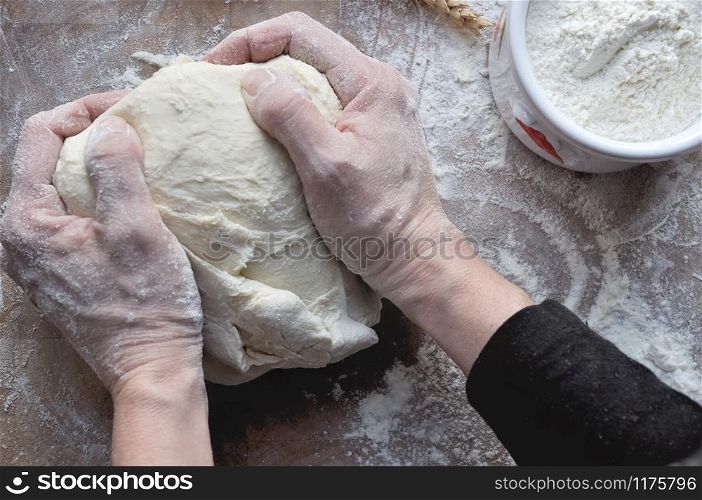 bread dough prepared by a cook on wooden board